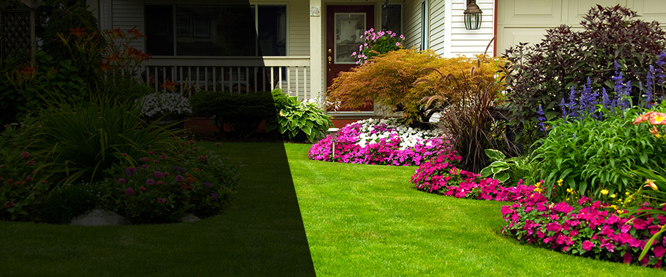 Sumter Landscapers