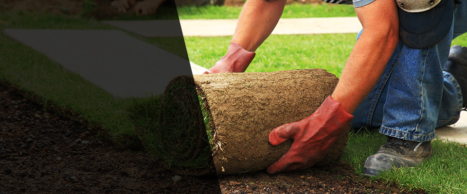 Sumter Landscapers